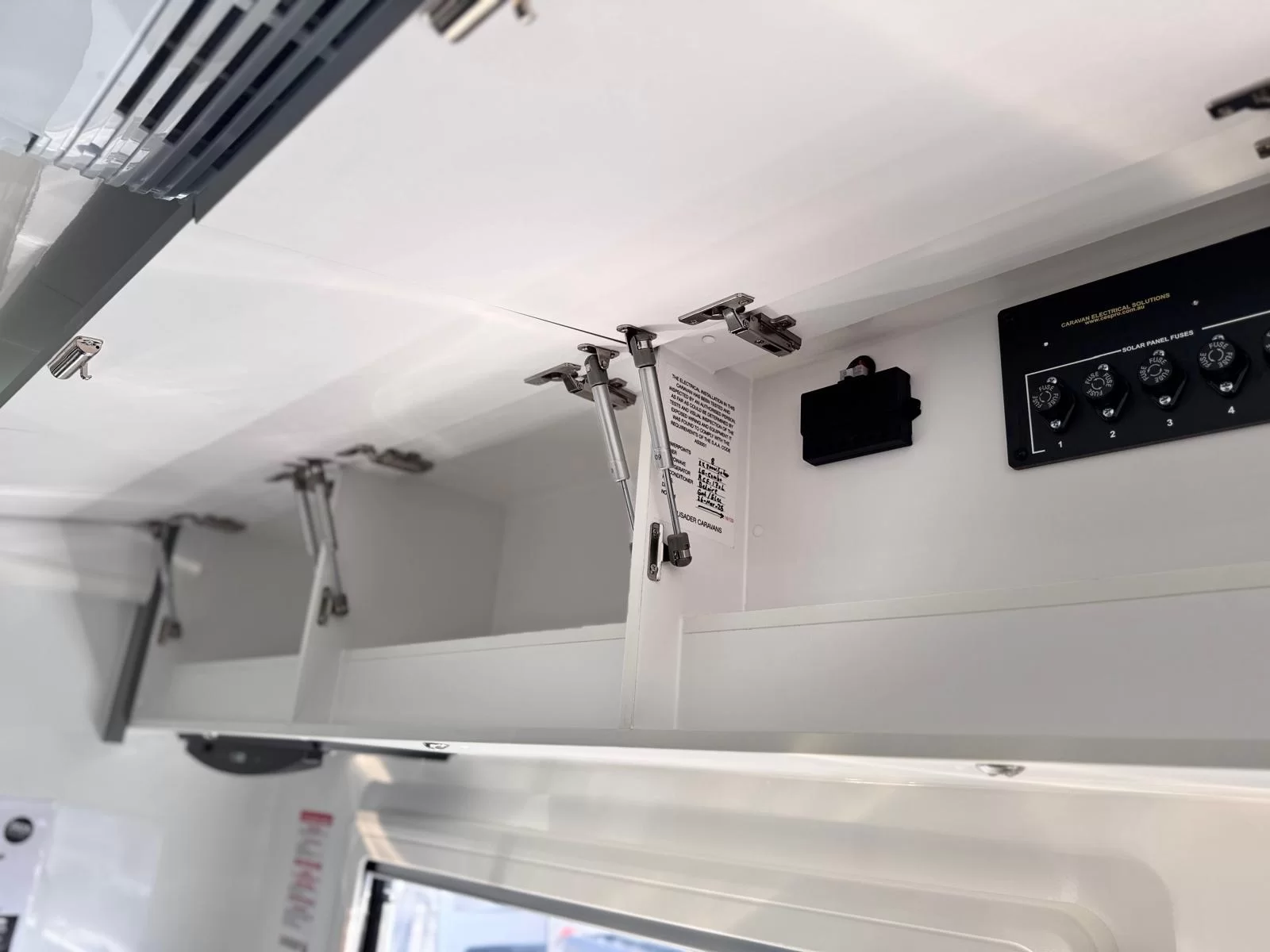 MY25 Chameleon Liberty SV