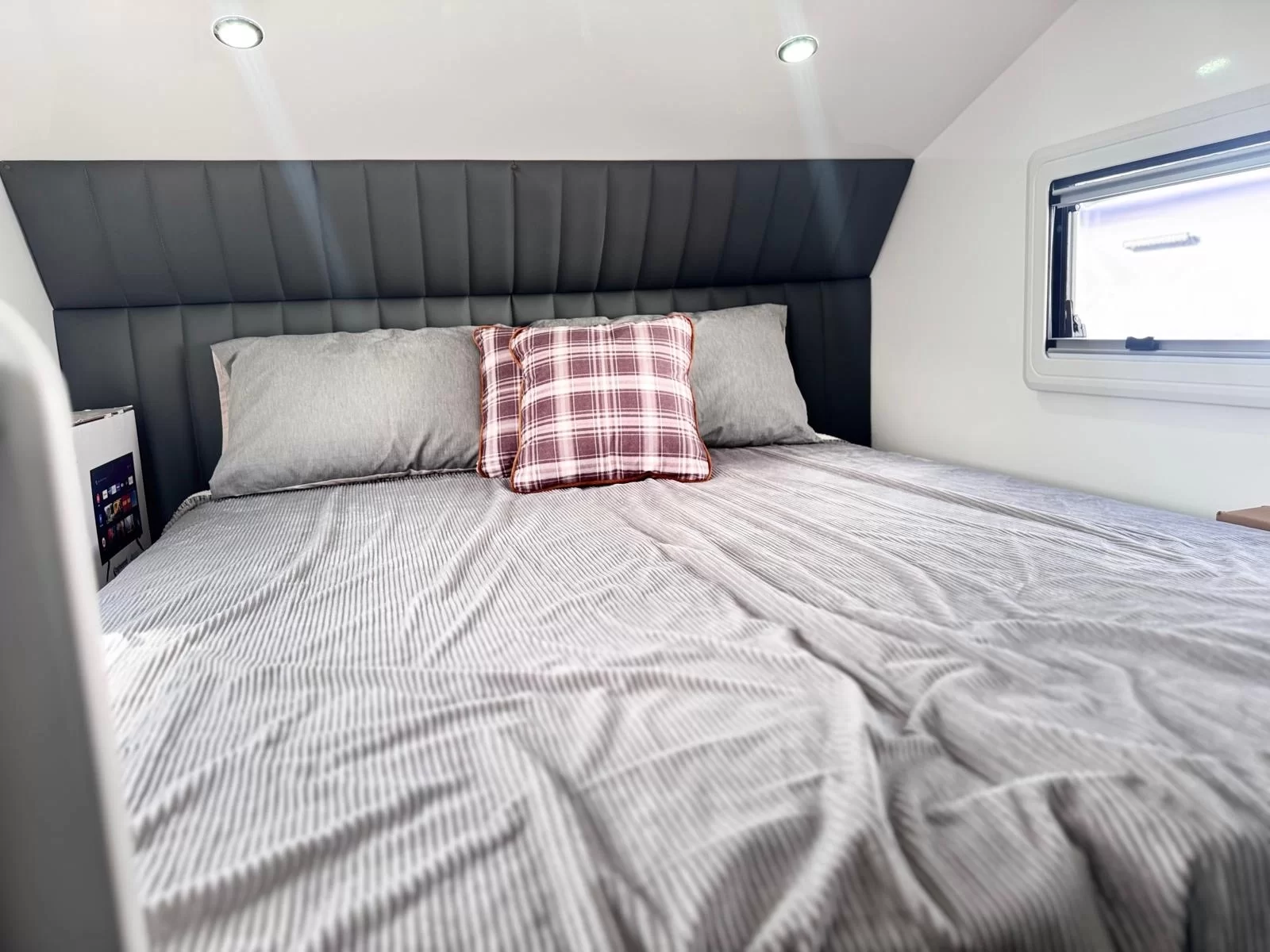 MY25 Chameleon Liberty SV