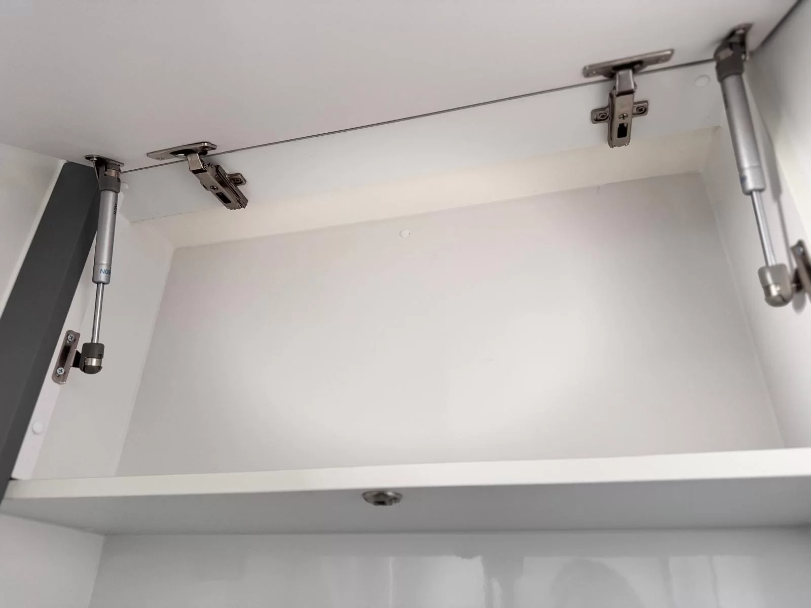 MY25 Chameleon Liberty SV