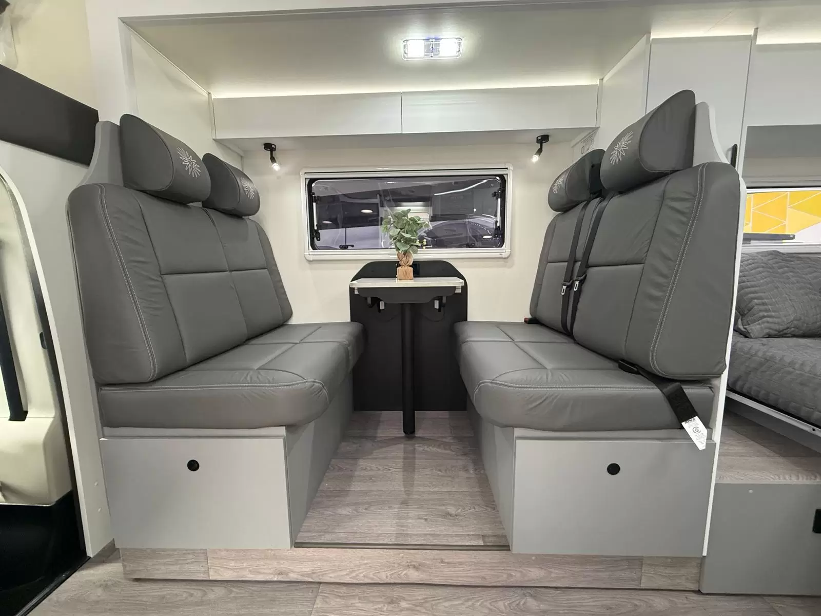 Birdsville LX C Type