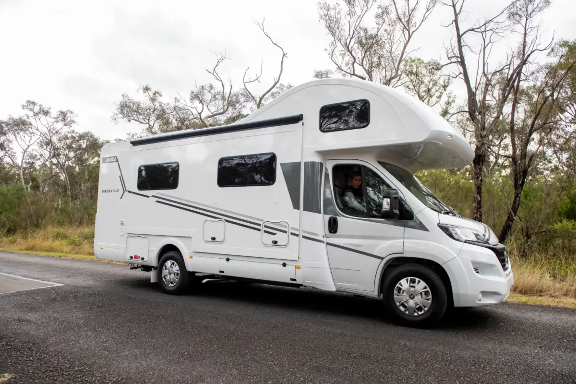 Birdsville C Type