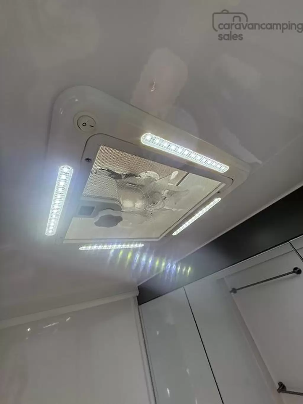 NEW 2025 CRUSADER MUSKATEER ARAMIS