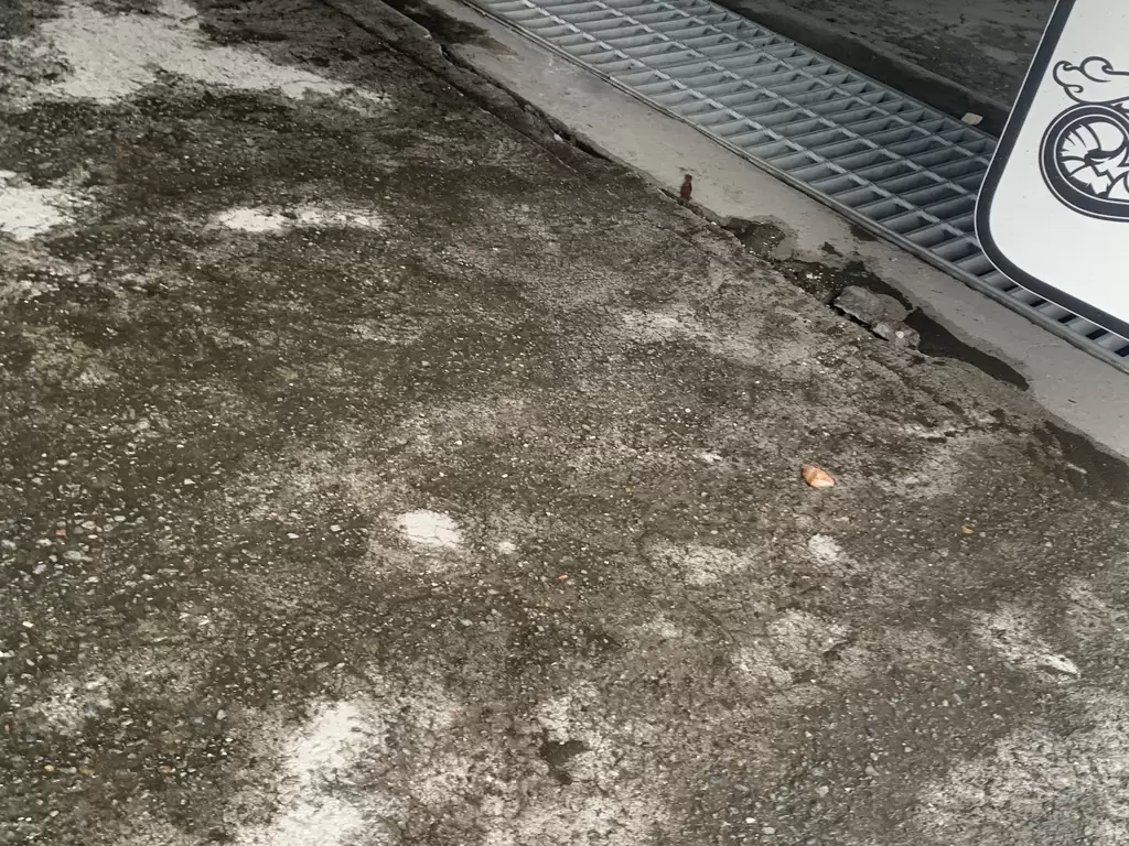 NEW 2025 DREAMHAVEN 19 SERIES SUPER X