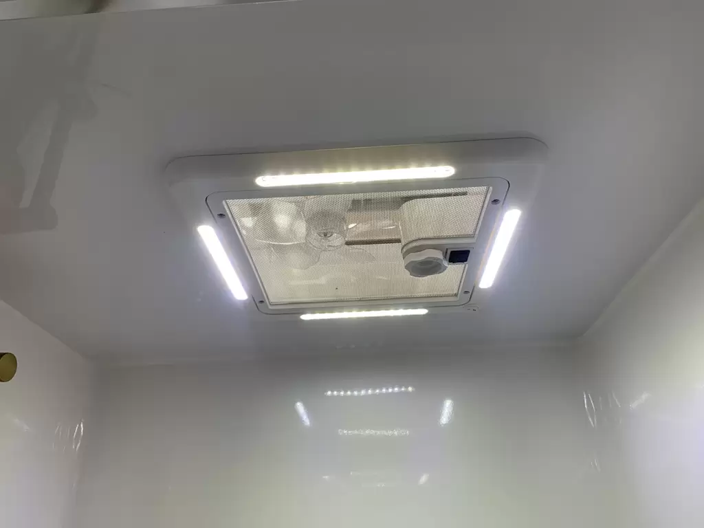 NEW 2025 CRUSADER MUSKETEER WARRIOR