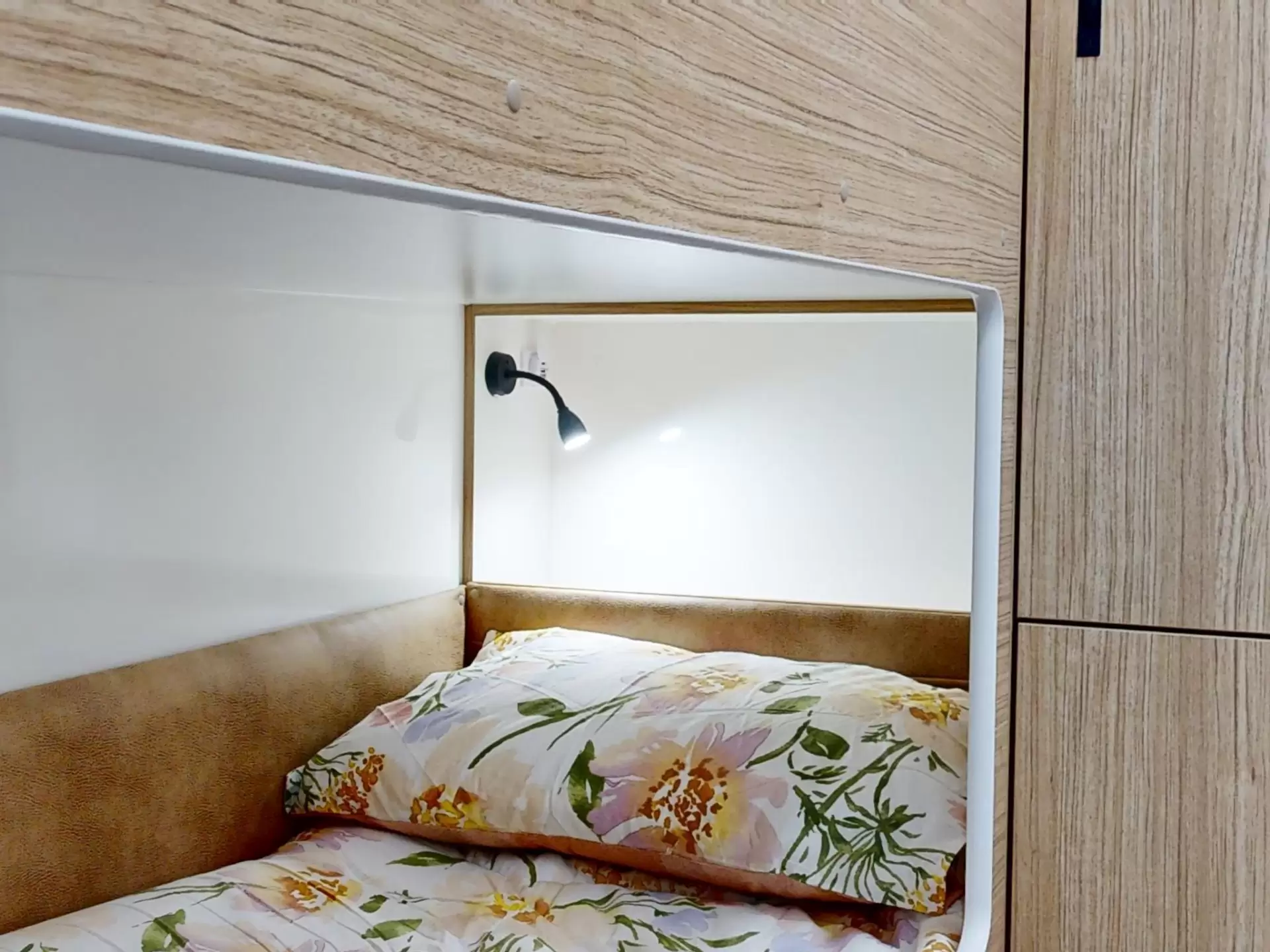 NEW 2026 VACATIONER CARAVANS ROUGH RIDER