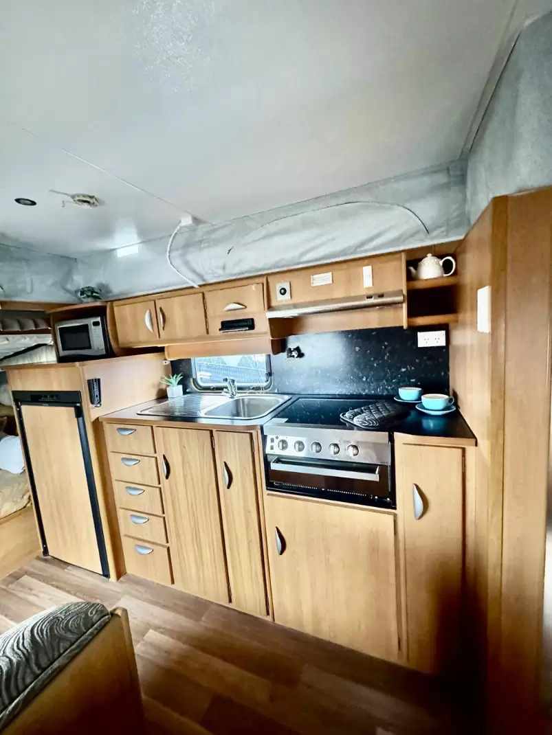 USED 2011 WINDSOR RAPID
