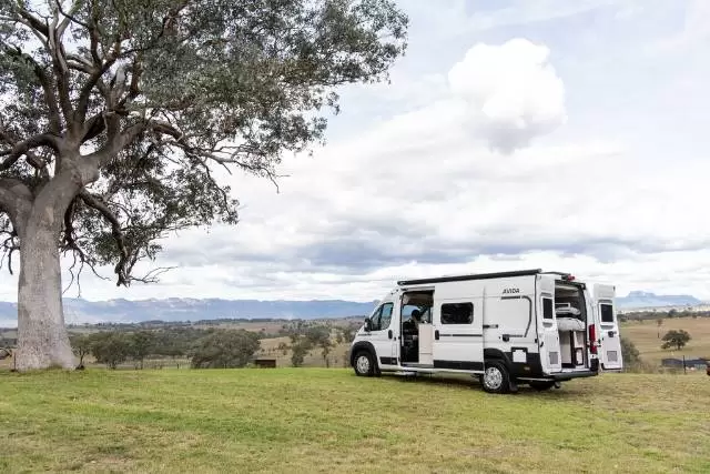 NEW 2026 AVIDA TREK V6452